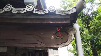 京都市東山区で本堂の軒天裏に営巣したキイロスズメバチの蜂の巣駆除