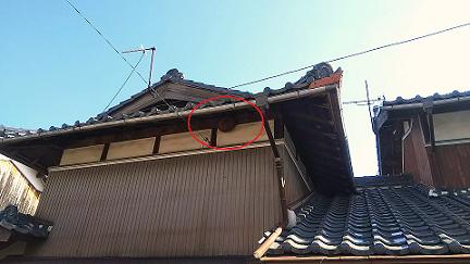 滋賀県甲賀市信楽町で2階軒下に営巣したキイロスズメバチの蜂の巣駆除