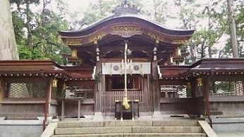 滋賀県甲賀市土山町で神社の拝殿通路の天井内部に営巣したキイロスズメバチの蜂の巣駆除