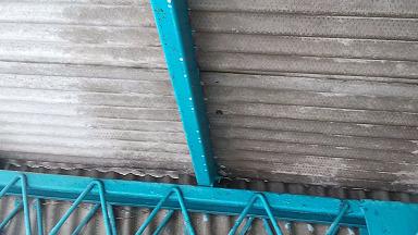 滋賀県守山市で駐車場の屋根に営巣したアシナガバチの蜂の巣駆除 最安