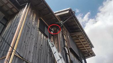 三重県津市で2階軒下に営巣したコガタスズメバチの蜂の巣駆除