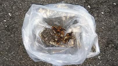 滋賀県草津市で通気口内ダクトに営巣したアシナガバチの蜂の巣駆除