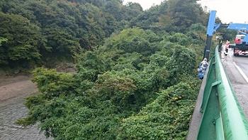 滋賀県高島市で橋梁の下に営巣したキイロスズメバチの蜂の巣駆除