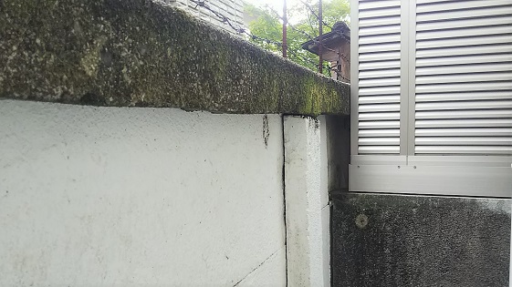 京都府京都市北区でブロック塀に営巣したアシナガバチの蜂の巣駆除