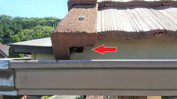 滋賀県大津市で２階屋根軒天内に営巣したキイロスズメバチの蜂の巣駆除