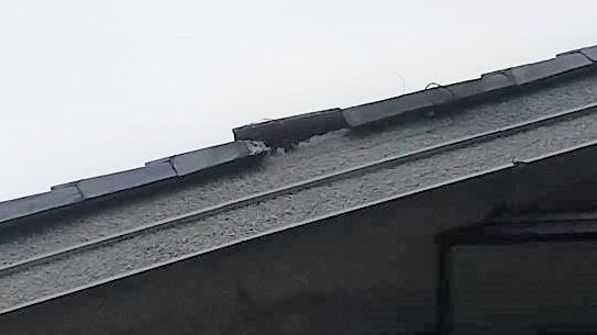 滋賀県大津市で２階屋根軒天内に営巣したモンスズメバチの蜂の巣駆除
