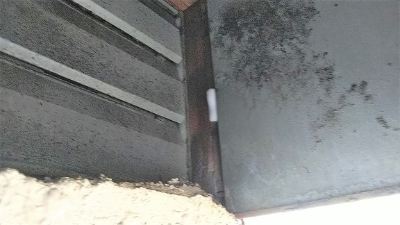 滋賀県大津市で換気扇フードに営巣したキイロスズメバチの蜂の巣駆除