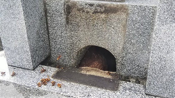 京都府京都市東山区で墓石内に営巣したキイロスズメバチの蜂の巣駆除