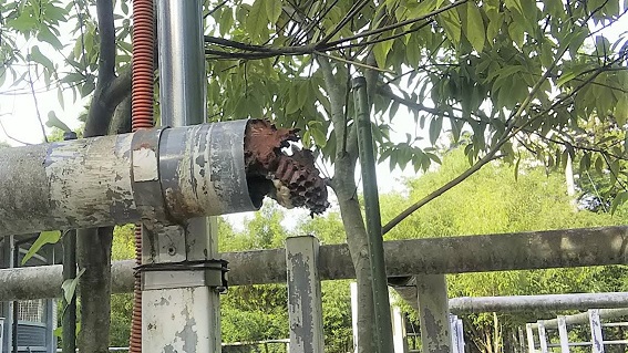 滋賀県栗東市で厩舎のパイプ柵の中に営巣したキイロスズメバチの蜂の巣駆除