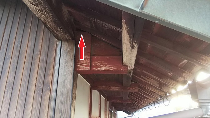 滋賀県米原市で２階屋根裏に営巣したキイロスズメバチの蜂の巣駆除