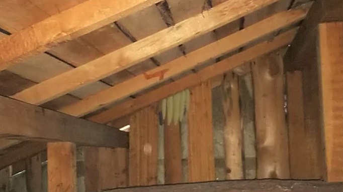 京都府城陽市で2階屋根裏に営巣したミツバチの蜂の巣駆除