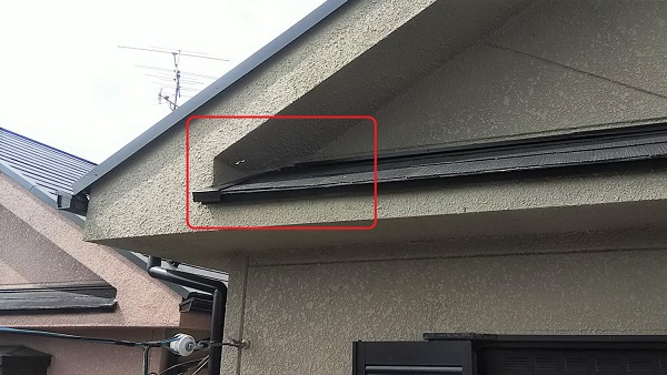 滋賀県大津市で２階屋根裏に営巣したモンスズメバチの蜂の巣駆除