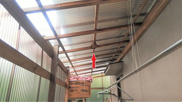 滋賀県大津市で倉庫天井に営巣したコガタスズメバチの蜂の巣駆除