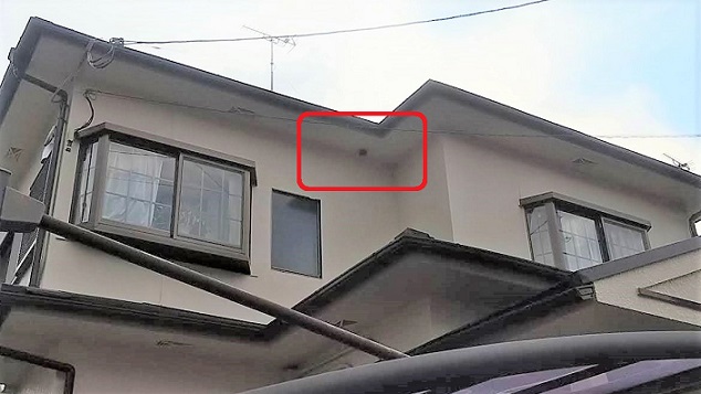 滋賀県大津市で２階軒下に営巣したアシナガバチの蜂の巣駆除