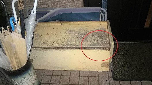 滋賀県大津市で玄関横の木箱内に営巣したアシナガバチの蜂の巣駆除