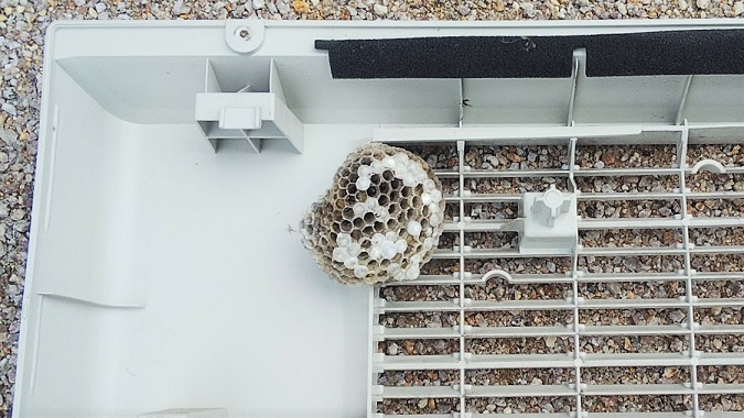 滋賀県彦根市でエアコン室外機の中に営巣したアシナガバチの蜂の巣駆除