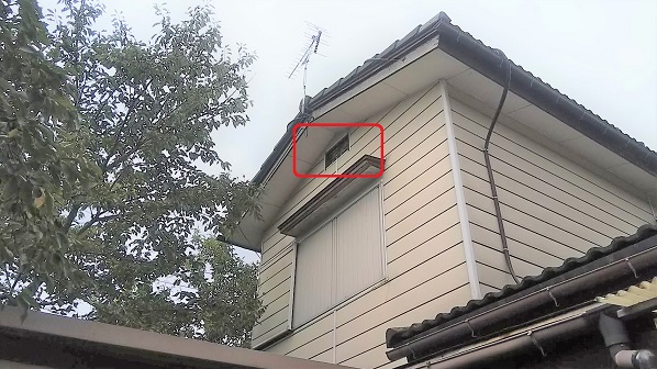 滋賀県彦根市で２階屋根裏に営巣したモンスズメバチの蜂の巣駆除