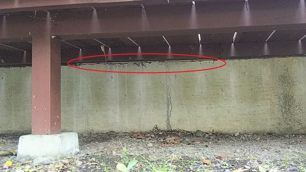 滋賀県蒲生郡日野町でコテージ床下に営巣したキイロスズメバチの蜂の巣駆除