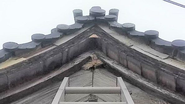 滋賀県長浜市で鐘楼屋根内に営巣したモンスズメバチの蜂の巣駆除