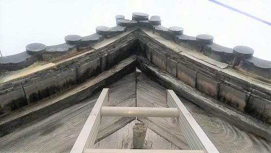 滋賀県長浜市で鐘楼屋根内に営巣したモンスズメバチの蜂の巣駆除