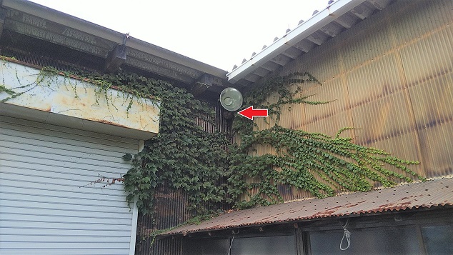 福井県小浜市で倉庫軒下に営巣したコガタスズメバチの蜂の巣駆除