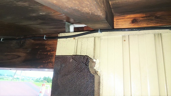 滋賀県愛知郡愛荘町で２階屋根裏に営巣したキイロスズメバチの蜂の巣駆除