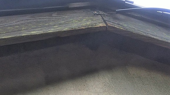 滋賀県栗東市で平屋屋根の破風板裏（ケラバ）に営巣したキイロスズメバチの蜂の巣駆除