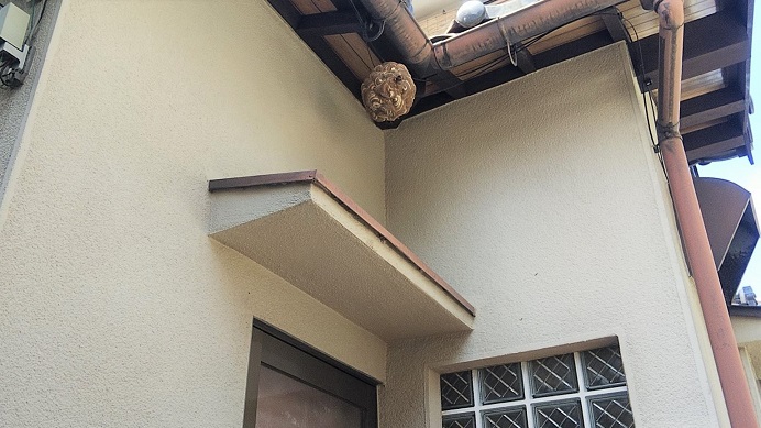滋賀県草津市で１階軒下に営巣したコガタスズメバチの蜂の巣駆除