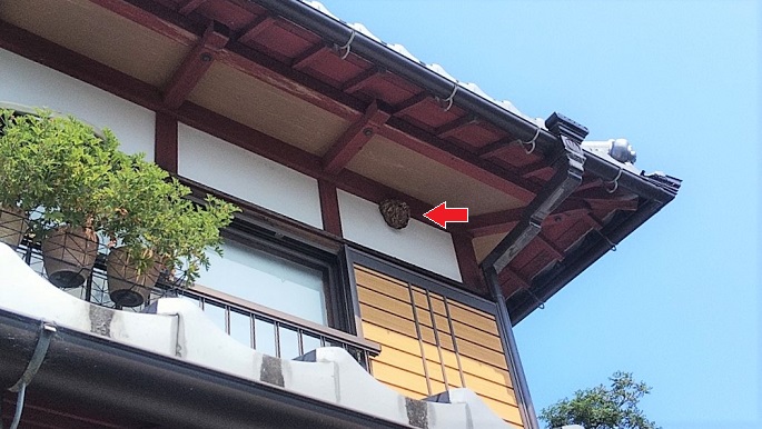 滋賀県野洲市で軒下に営巣したコガタスズメバチの蜂の巣駆除
