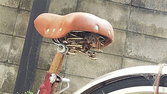 大阪府高槻市で自転車のサドル下に営巣したアシナガバチの蜂の巣駆除