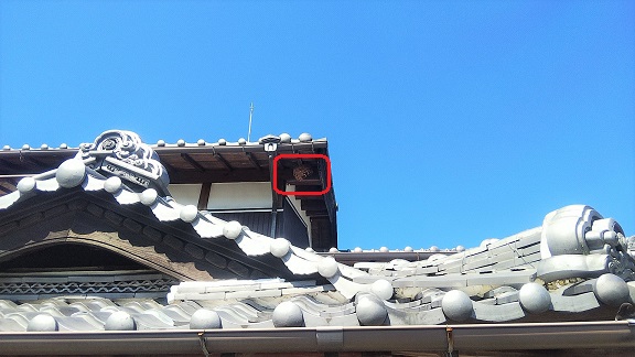 三重県伊賀市で２階軒下に営巣したキイロスズメバチと襲撃するオオスズメバチの蜂の巣駆除