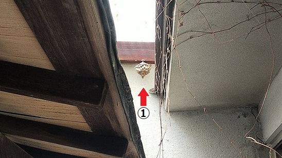 京都府京都市北区で軒下に営巣したアシナガバチの蜂の巣駆除