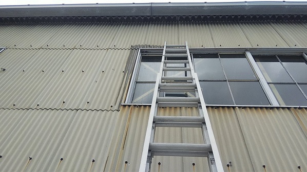 京都府乙訓郡大山崎町で工場の外壁サッシに営巣したアシナガバチの蜂の巣駆除