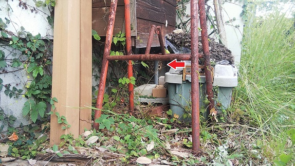 滋賀県大津市で屋外に営巣したコガタスズメバチの蜂の巣駆除
