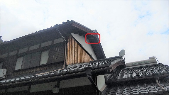 滋賀県東近江市で２階軒下に営巣したキイロスズメバチの蜂の巣駆除