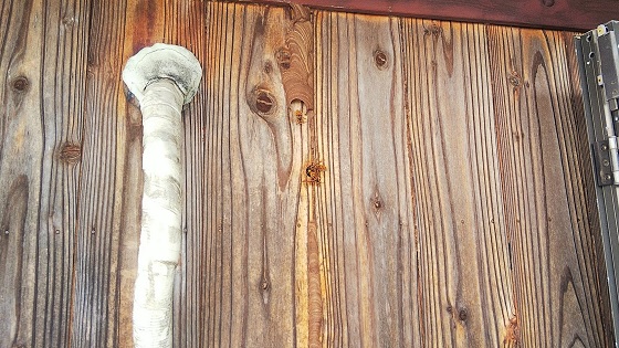滋賀県東近江市で２階外壁の中に営巣したキイロスズメバチの蜂の巣駆除
