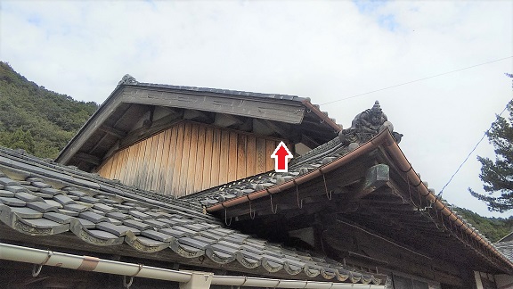 福井県三方上中郡若狭町で２階屋根裏に営巣したキイロスズメバチの蜂の巣駆除