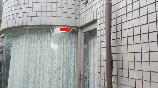京都府京都市西京区で窓枠に営巣したコガタスズメバチの蜂の巣駆除