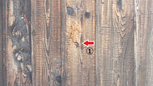 滋賀県高島市で外壁の中に営巣したキイロスズメバチの蜂の巣駆除