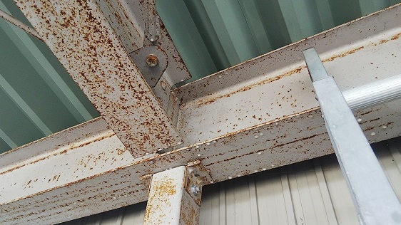 滋賀県高島市で資材置き場天井のH鋼に営巣したコガタスズメバチの蜂の巣駆除