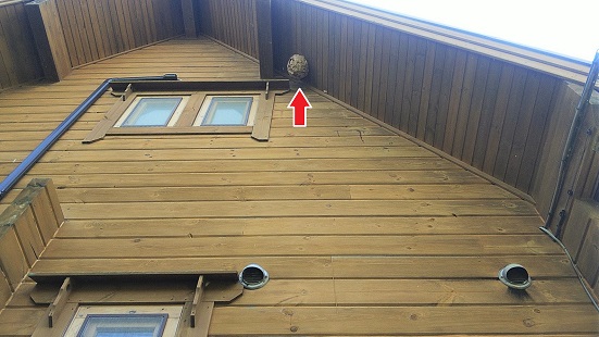 滋賀県高島市で2階屋根けらばの軒天に営巣したキイロスズメバチの蜂の巣駆除