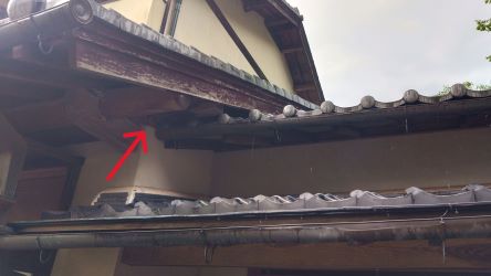 三重県伊賀市で１階天井裏に営巣したキイロスズメバチの蜂の巣駆除