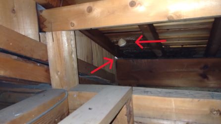 三重県伊賀市で１階天井裏に営巣したキイロスズメバチの蜂の巣駆除