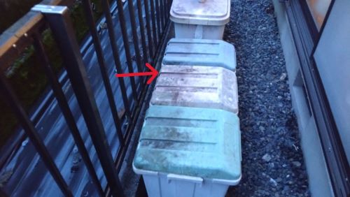 滋賀県守山市で屋外ジョイント分別ゴミ箱の間に営巣したアシナガバチの蜂の巣駆除
