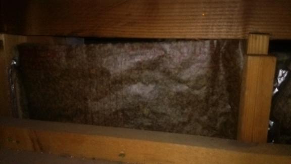 滋賀県大津市で二階屋根裏に営巣したモンスズメバチの蜂の巣駆除