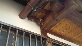 滋賀県守山市で玄関上に営巣したコガタスズメバチの蜂の巣駆除