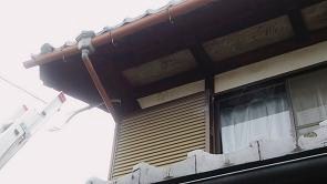 滋賀県近江八幡市で二階軒下に営巣したキイロスズメバチの蜂の巣駆除