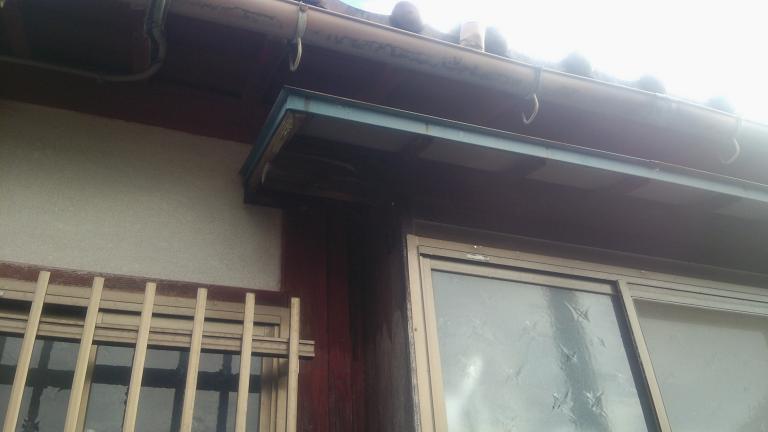 滋賀県長浜市で出窓横に営巣したコガタスズメバチの蜂の巣駆除