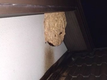 ㉔2階屋根ケラバ下