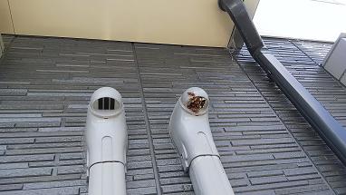 滋賀県栗東市でエアコンダクト通気口内に営巣したアシナガバチの蜂の巣駆除